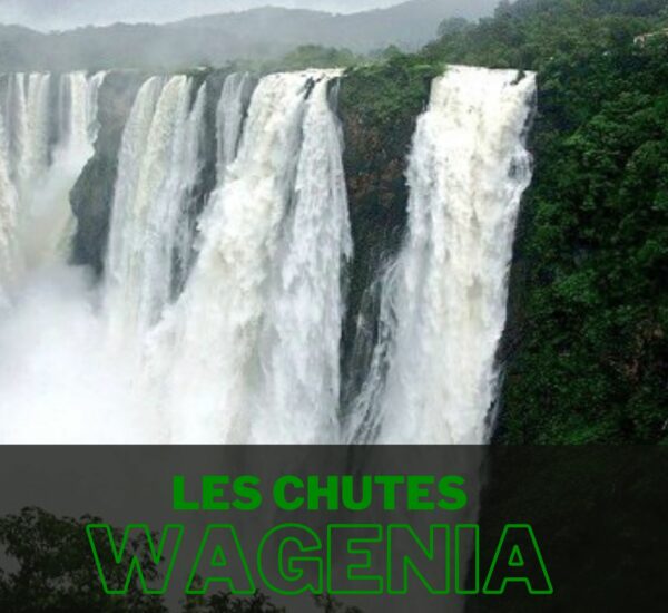 Éditions Wagenia Éditions Wagenia